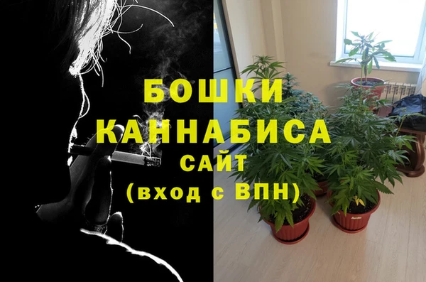 ГАЛЛЮЦИНОГЕННЫЕ ГРИБЫ Нея