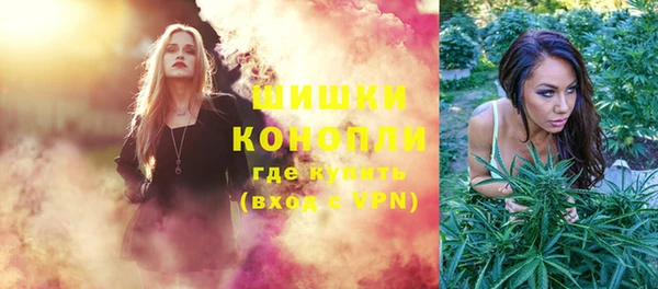 ГАЛЛЮЦИНОГЕННЫЕ ГРИБЫ Нея