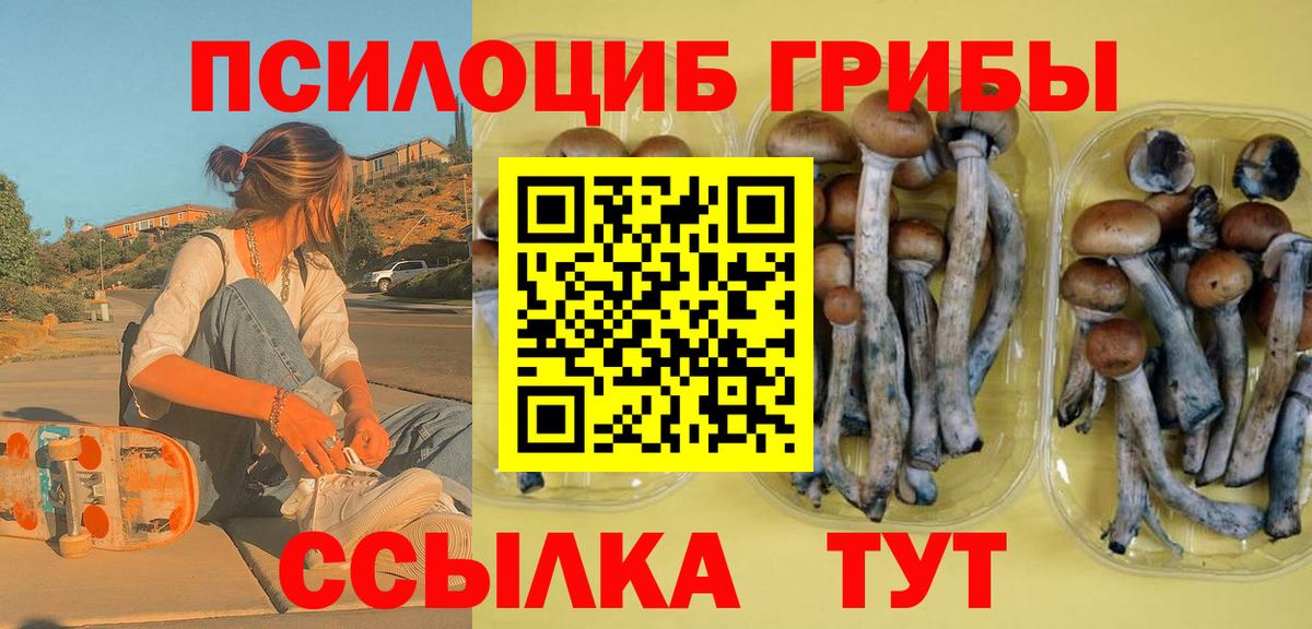 Галлюциногенные грибы Cubensis  Галлюциногенные грибы Cubensis  Вход с VPN  Усть-Джегута 